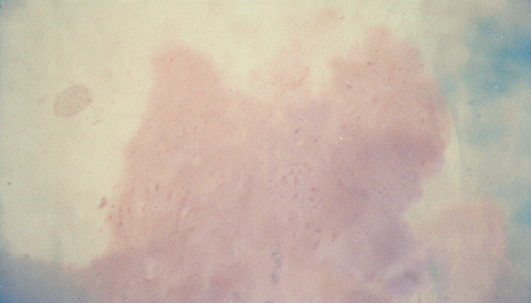 Warm beige and dusty rose abstract textures with a soothing, minimalist feel.
